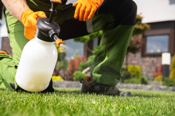 Best Spider Control Near Me  in Mount Morris, IL