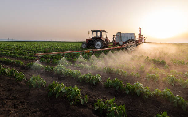 Best Pest Removal Services  in Mount Morris, IL