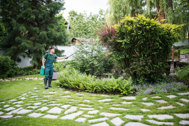 Best Affordable Pest Control Services  in Mount Morris, IL