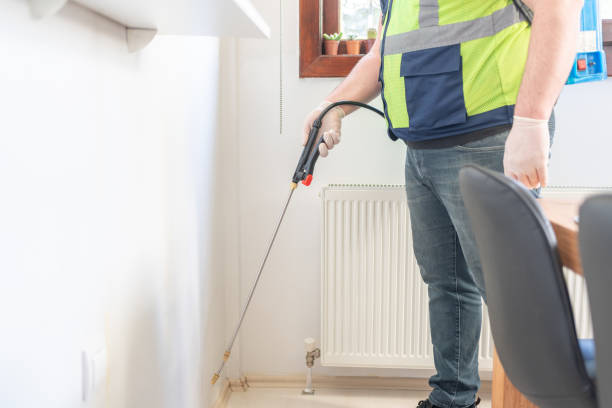 Best Mosquito Control Services  in Mount Morris, IL