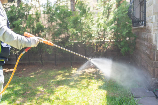 Spider Control Near Me in Mount Morris, IL