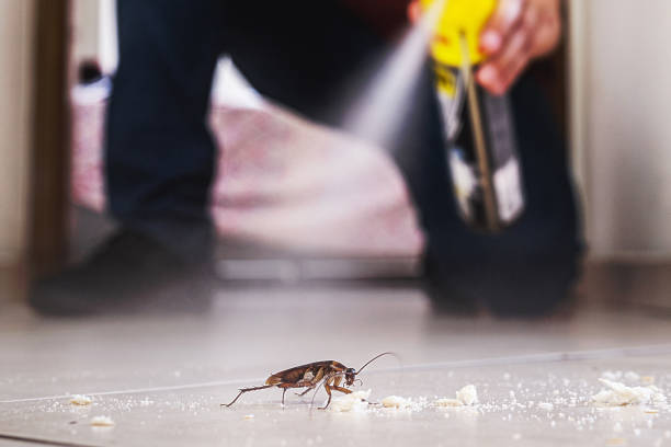 Best Local Pest Control Services  in Mount Morris, IL