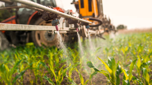 Best Best Pest Control Companies  in Mount Morris, IL